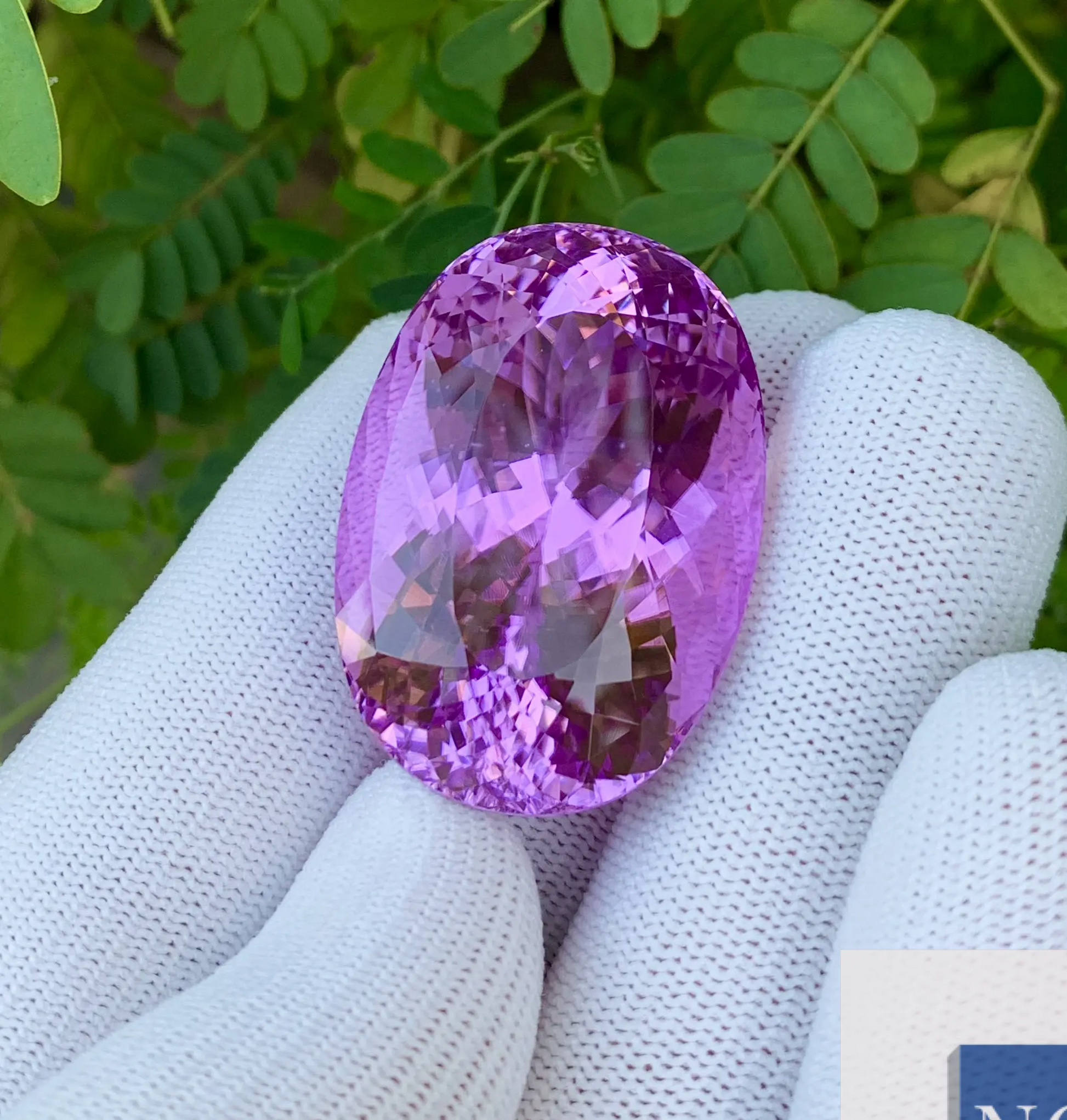 pink kunzite ring

